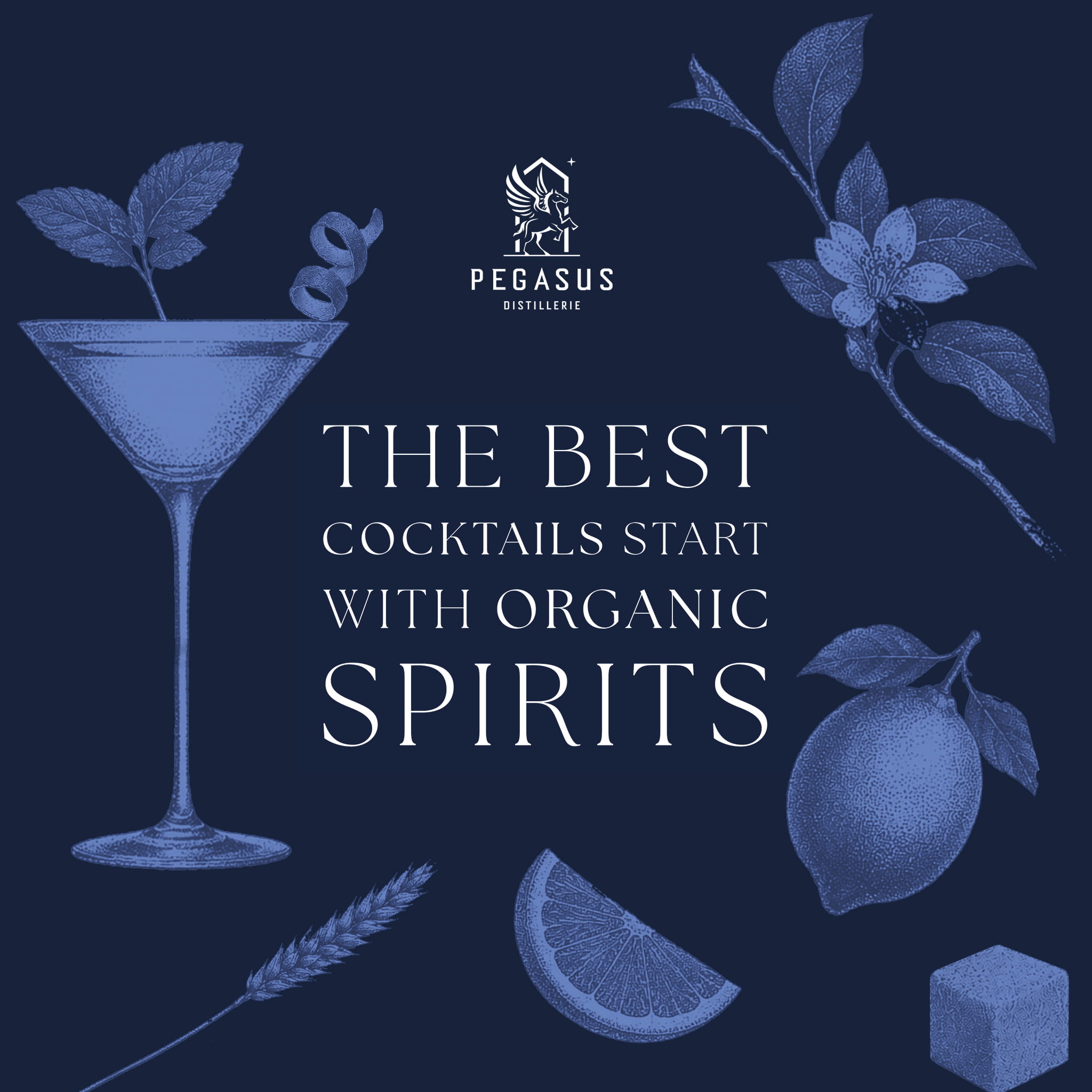 Pegasus — design stand de bar, version 2