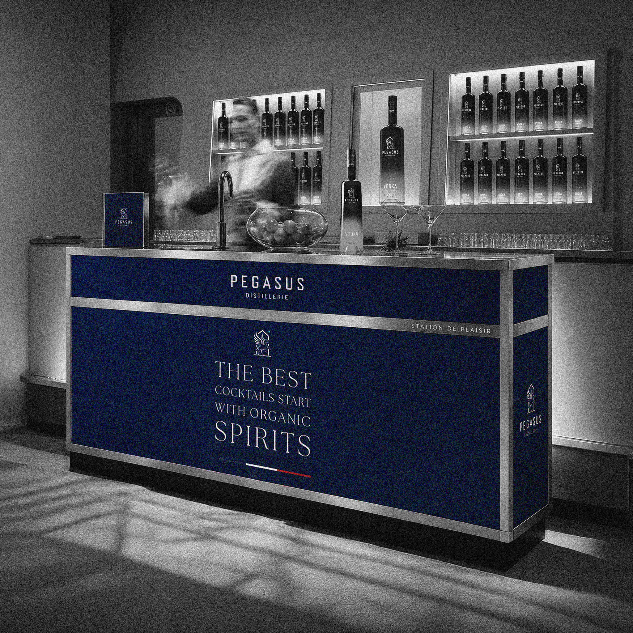 Pegasus — simulation stand de bar, version 1