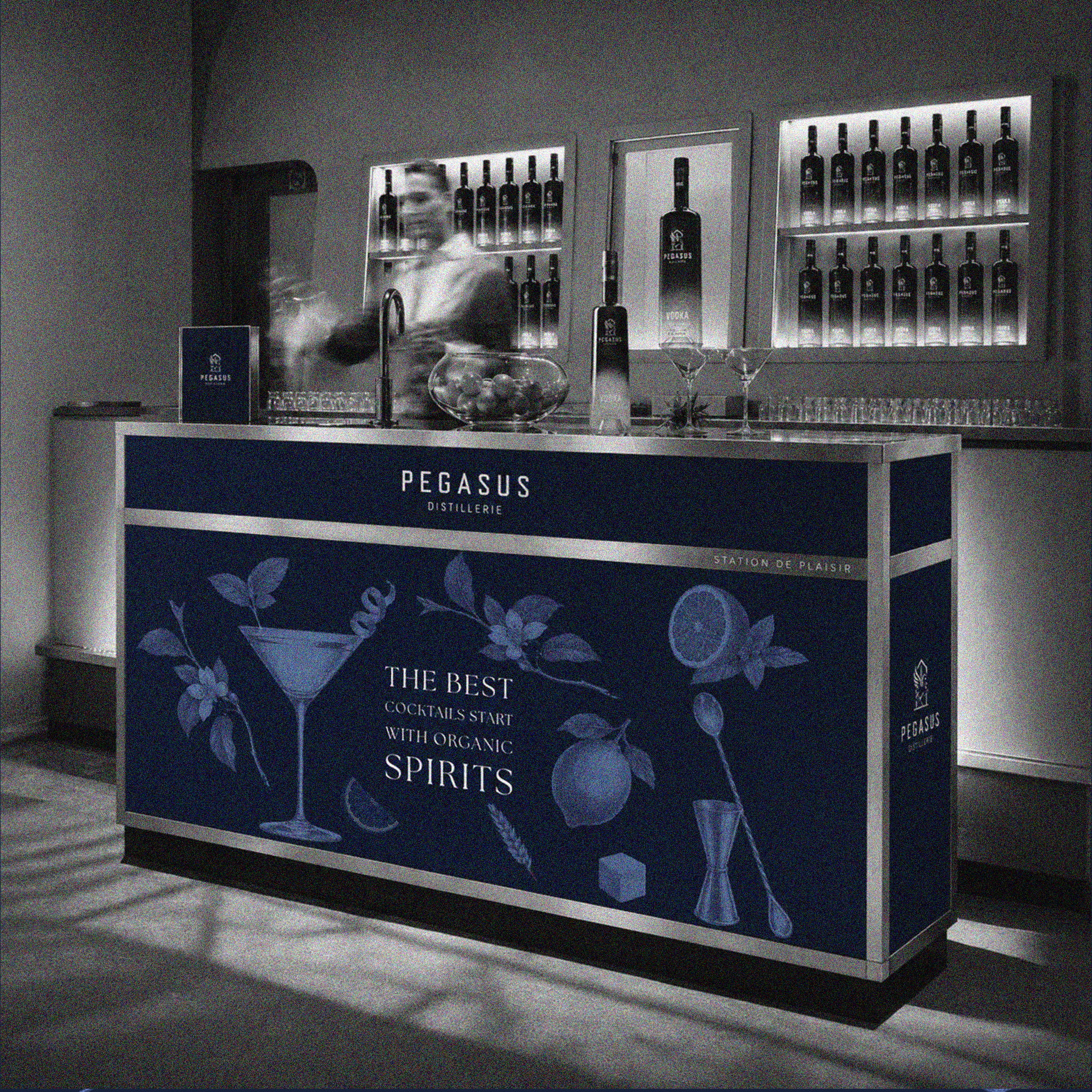 Pegasus — simulation stand de bar, version 2